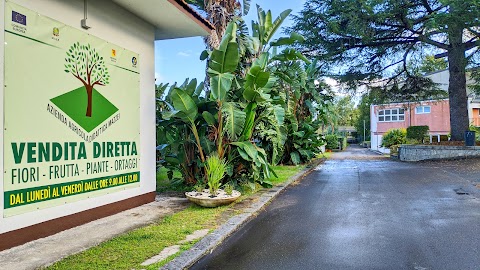 Istituto Professionale di Stato per l'Agricoltura A. Mazzei