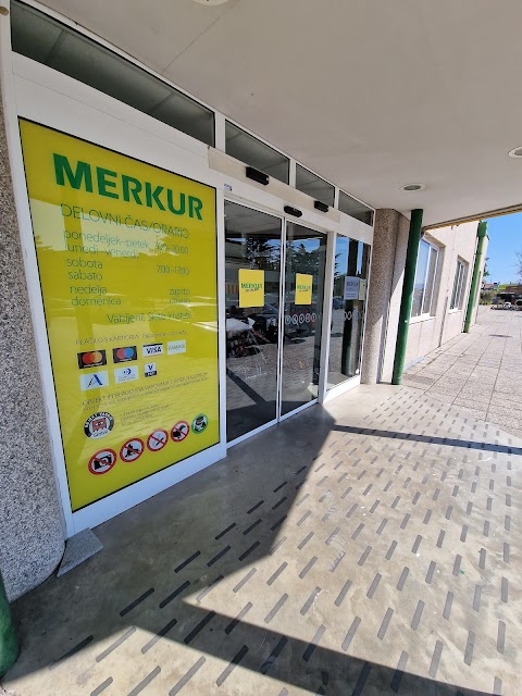 MERKUR Mojster Koper