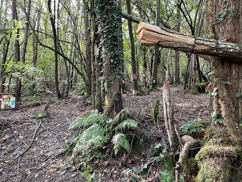 Bosco degli gnomi di Cianigun