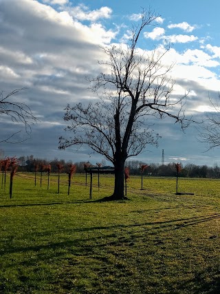 Parco rurale sovracomunale "Civiltà delle Rogge"