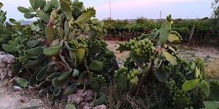 Masseria Triglie