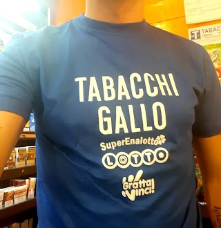 IQOS PARTNER - Tabacchi Gallo, Teverola