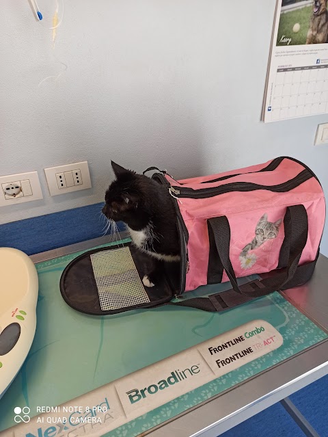 Ambulatorio Veterinario Bagno a Ripoli