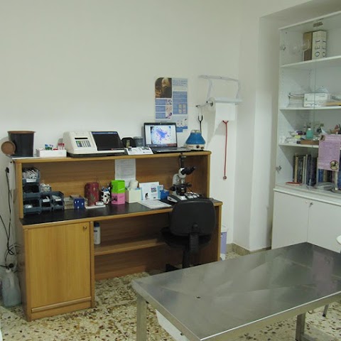 Centro Medico Veterinario Via Istria