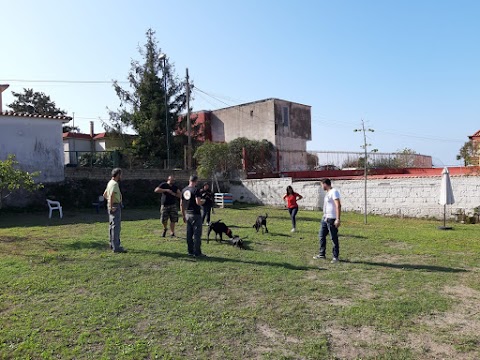 Centro di Educazione del Cane CANI ED EMOZIONI