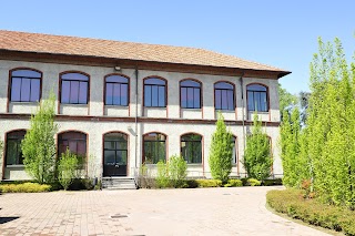Liceo Classico Statale Salvatore Quasimodo