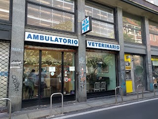 Sambuco Clinica Veterinaria S.r.l