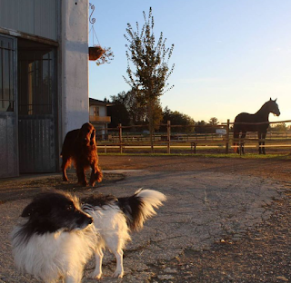 Maneggio Horseway Cascina Bianca