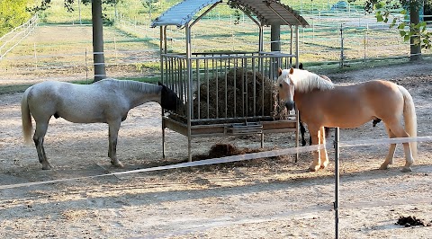 Centro Equestre La Luna Nuova Asd