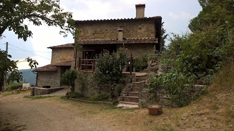 Agriturismo Fattoria di Cintoia