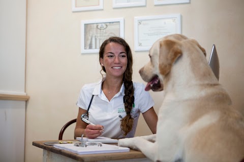 Demarchi dott.ssa Giulia Medico Veterinario Chiropratica