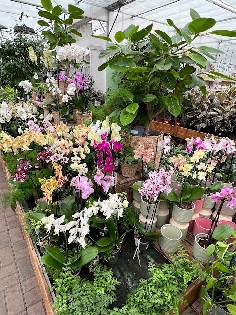 Hortilus Garden Center