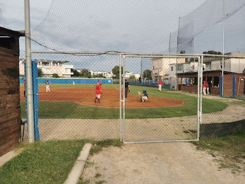 Polisportiva Anzio Baseball