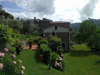 Villa Olivi