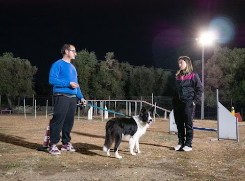 Centro Cinofilo "Malpelo" - Pensione Cani Addestramento Agility Dog