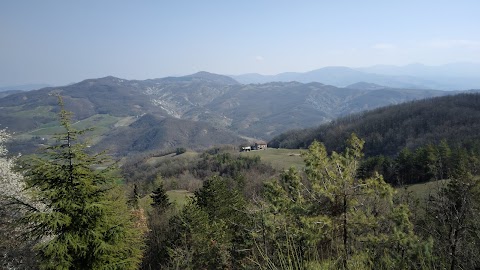 Trattoria Alba di Giovanelli - Specchio