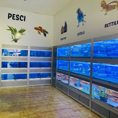 Tom & Jerry Pet Shop e articoli per la pesca