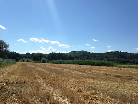 Area Sosta Camper Campeggio Capitello