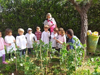 scuola dell'infanzia - primaria paritaria Maestre Pie dell'Addolorata