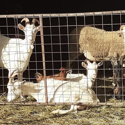 Fattoria Campo delle Sore