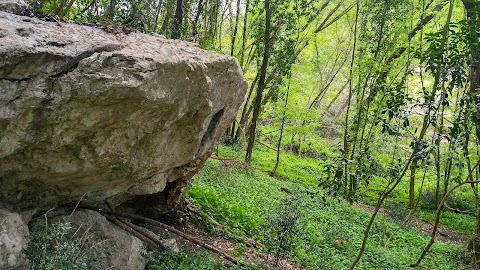 Bosco di San Vito - Monte Tifata