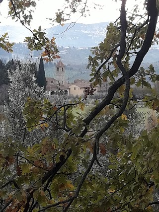 Pensione Per Cani Le Terrazze