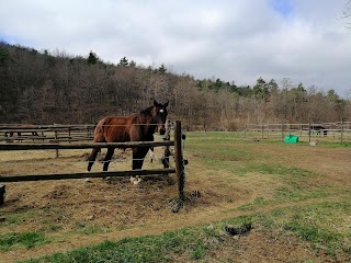 Rio Selvatico Ranch