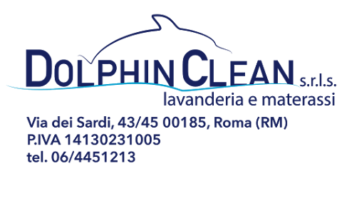 Dolphin clean srls