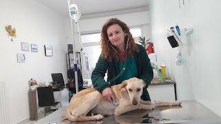 Ambulatorio Veterinario MediVet