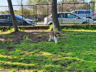 Area di sgambamento per cani