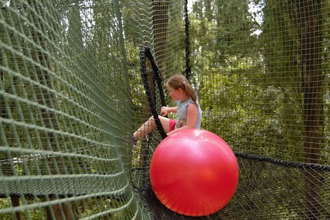 Parco Avventura Vincigliata