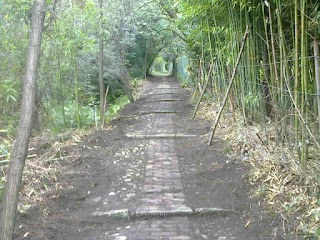 Creuza Via Asilo Infantile di Murta