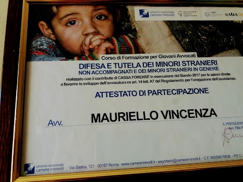 Studio legale avvocato Cassazionista Avv.Vincenza Mauriello, ordine Avv. di Napoli Nord