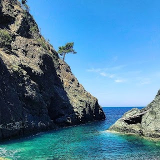 Cinque Terre Sun