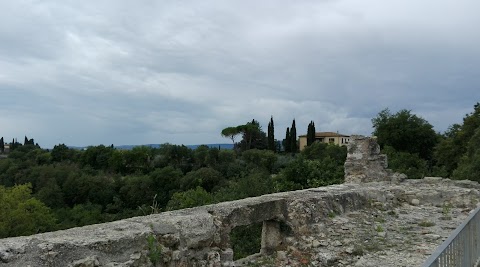 La Casa di Joy