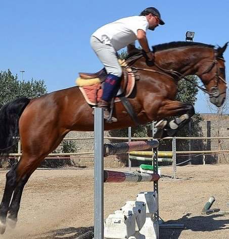 Scuola Leccese di Equitazione ASD - Ex Dirupo