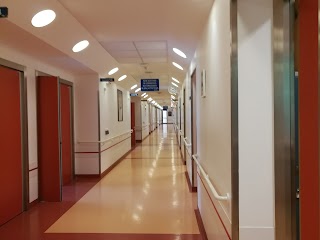 Ospedale di Treviso