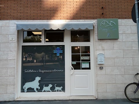 Toelettatura e Parafarmacia Veterinaria Puppy's Spa di Tesei Marco