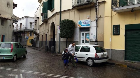 CDS Centro Veterinario Associato