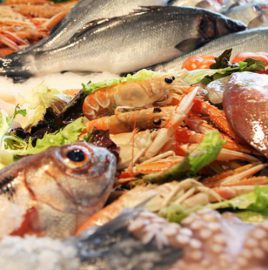 Fish & Wine by Fish in the world Ristorante di pesce fresco Aperitivi Take Away - Enoteca