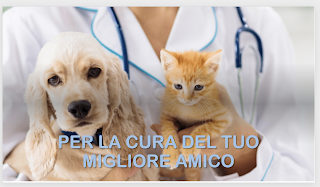 Ambulatorio Veterinario San Francesco