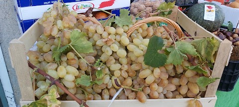 L'angolo Frutta Verdura Primizie