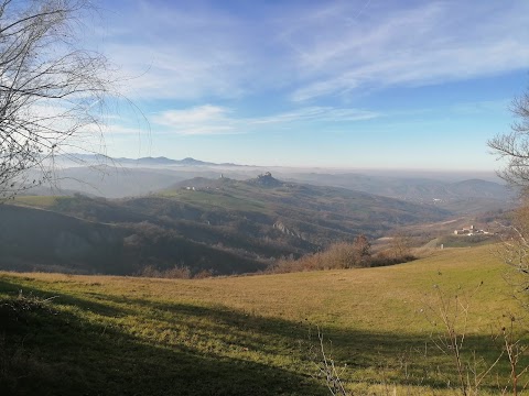 Andare A Canossa Di Bernabei Mario