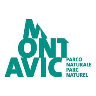 Villa Biamonti Mont Avic