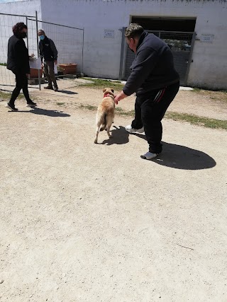 Canile sanitario e rifugio di Monopoli