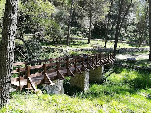 Parco forestale Calaforno