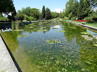 Giardini Acquatici