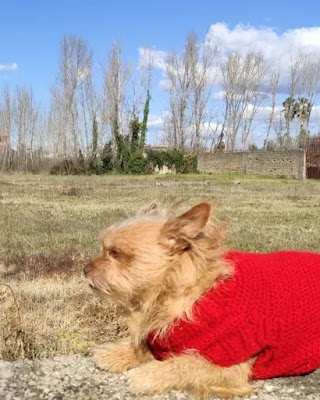 Ambulatorio Veterinario Dr. Annunziata Marco