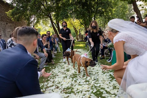 Wedding Dog Sitter - 1°in Italia dal 2010