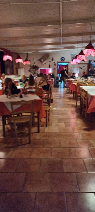 Pizzeria Il Gatto Rosso